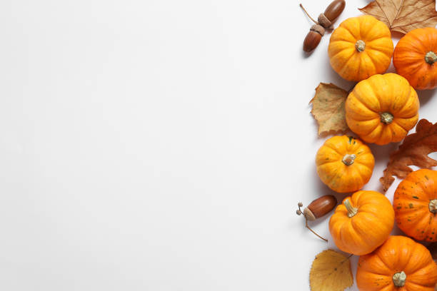 istock Thanksgiving day. Flat lay composition with pumpkins on white background, space for text 1831769913