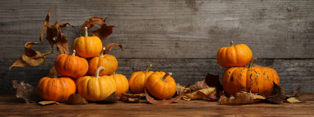istock Thanksgiving day. Beautiful composition with pumpkins on wooden table, space for text 1831771248