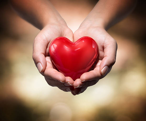donazione di vita-rosso cuore - gift charity and relief work giving human hand foto e immagini stock