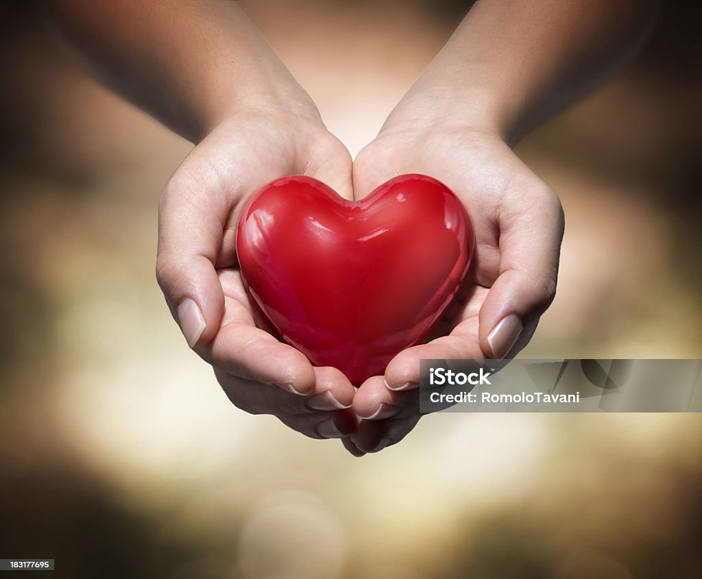 donation of life - red heart heart in heart hands- warm background Heart Shape Stock Photo