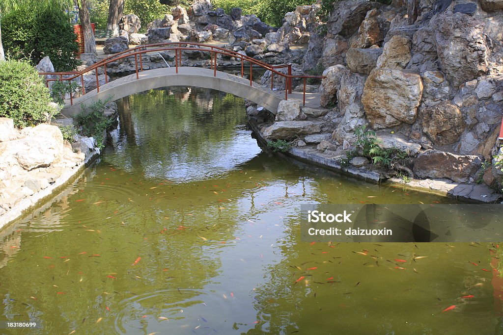 Jardín chino - Foto de stock de Agua libre de derechos