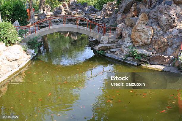 Giardino Cinese - Fotografie stock e altre immagini di Acqua - Acqua, Ambientazione esterna, Ambientazione tranquilla