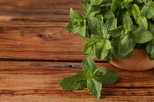 istock Bowl with fresh green mint leaves on wooden table, space for text 1831808790