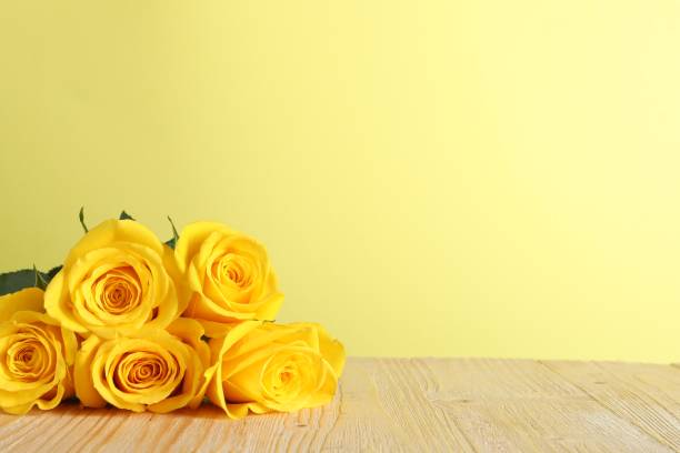 bouquet of yellow roses in sunlight - springtime, mother's day and holiday styled concept