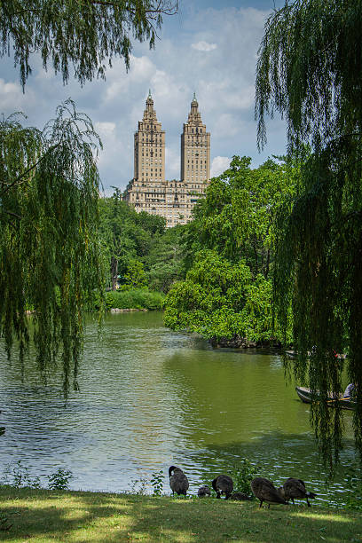 istock Lake in Central Park, New York 183185679