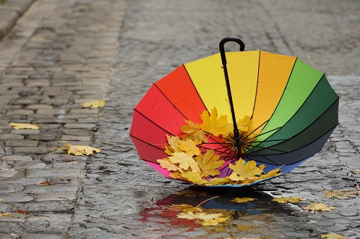 Open colorful umbrella with fallen leaves on wet pavement. Space for text