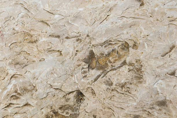 istock full frame of smooth rock on beach foreshore 1831892353