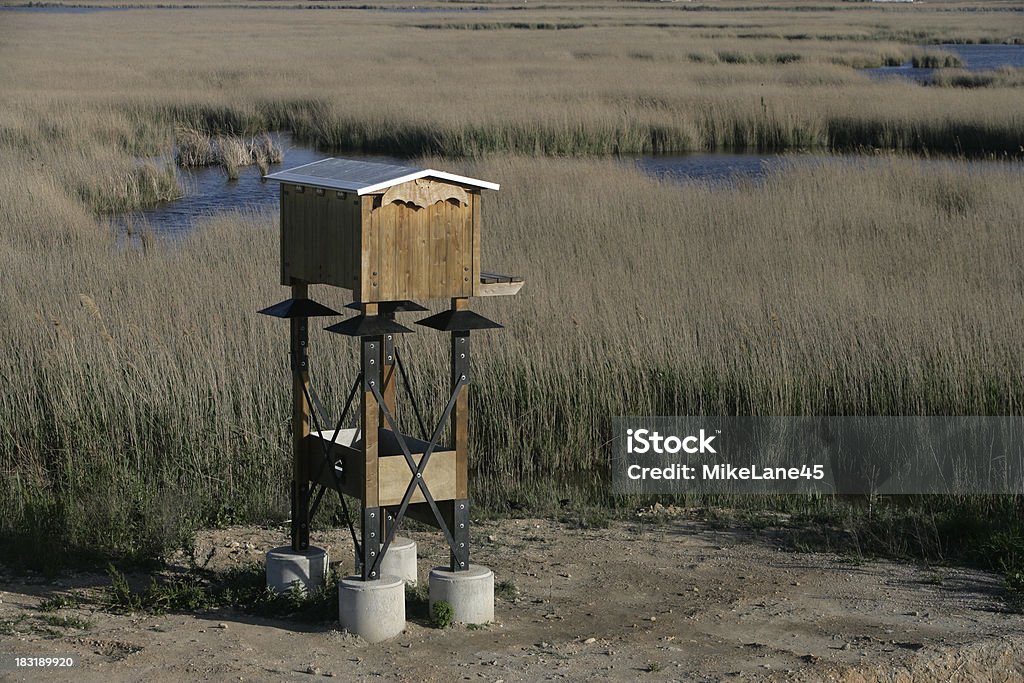 Delta Ebro, Espanha, a lagoa Encanyissada - Foto de stock de Caixa - Recipiente royalty-free