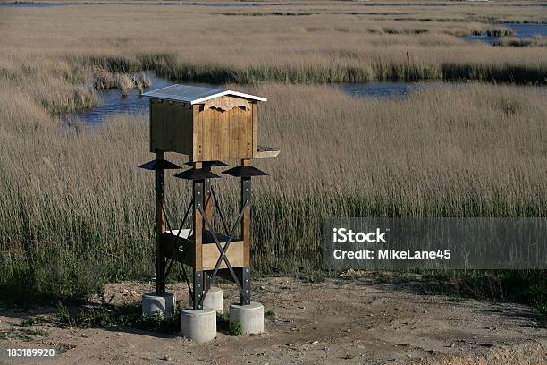 Foto de Delta Ebro Espanha A Lagoa Encanyissada e mais fotos de stock de Caixa - Recipiente - Caixa - Recipiente, Catalunha, Delta Ebro