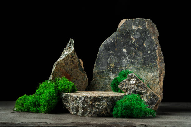 istock Granite stones with moss studio shot close up 1831946091