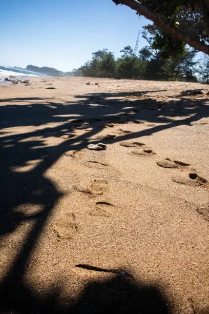This evocative image captures a series of solitary footprints etched into the sun-kissed sand, winding away toward an unseen horizon. Each imprint tells a silent story of passage, a fleeting moment amidst the grandeur of nature. The late afternoon sun casts a warm glow, accentuating the texture of the sand and the delicate ridges in each footprint, while the soft wash of waves in the background hints at the impermanence of these sandy signatures. Poignant in its simplicity, this photograph is an ideal metaphor for travel, journeys, solitude, and the beauty of transient moments, making it a powerful, thought-provoking addition to any project or publication.