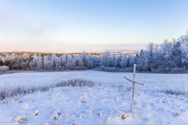 Winter view of lake shore. Newly fallen snow covering stones and trees.