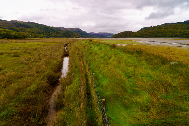 istock Mawddach Estuary, in Snowdonia National Park 1832065978
