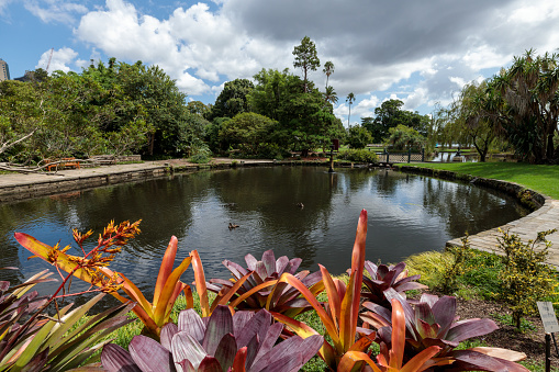 Hilo, Hawaii, USA. - January 9, 2012: Closeup of Japanese black and red small bow bridge over pond in Liliuokalani Gardens. Green trees and black rocks under blue sky with big white clouds.