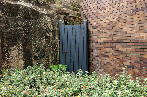 A vertical shot of a brown wooden single door of an abandoned building. The inner structure of the door is visible on the right.