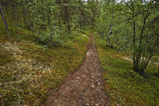 Tuuruharju trail at Kaamanen, Finland, Europe