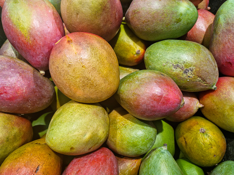 Bunch of mangoes