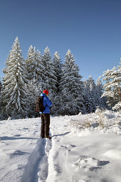 snowy winter landscape in Black Forest