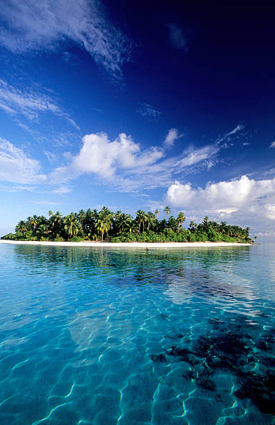 istock Maldives, southern atolls, Island. 183212843