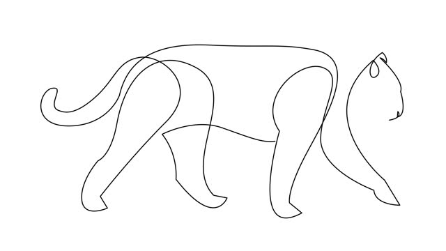 Self drawing simple animation of puma, lioness, jaguar one line art.