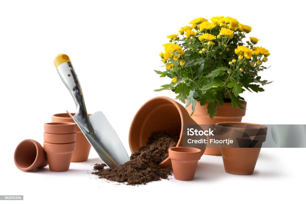 Giardinaggio:  Pots e divisione - Foto stock royalty-free di Vaso da fiori