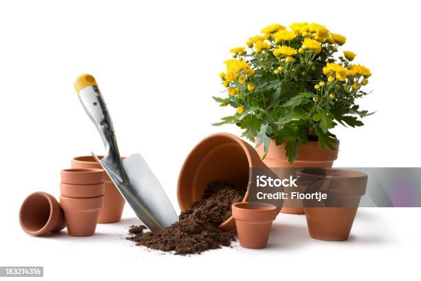 Gardening Pots And Plant Stock Photo - Download Image Now - Flower Pot, Beauty In Nature, Ceramics