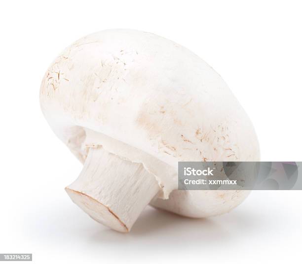 Champignon - Fotografie stock e altre immagini di Champignon - Champignon, Scontornabile, Bianco