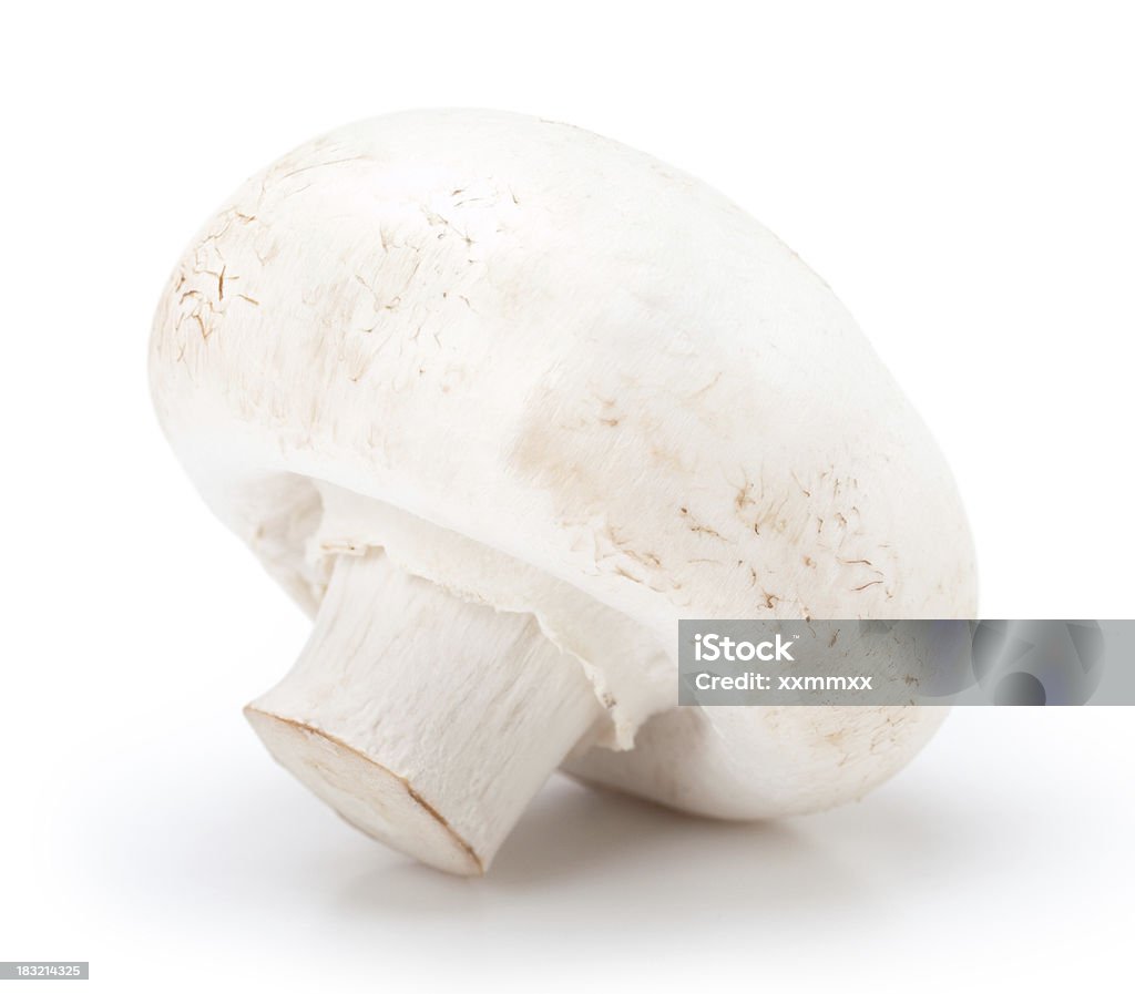 Cogumelo Branco - Foto de stock de Cogumelo Branco royalty-free