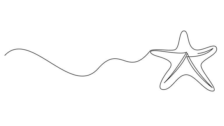 Self drawing simple animation of one line sea starfish design silhouette.