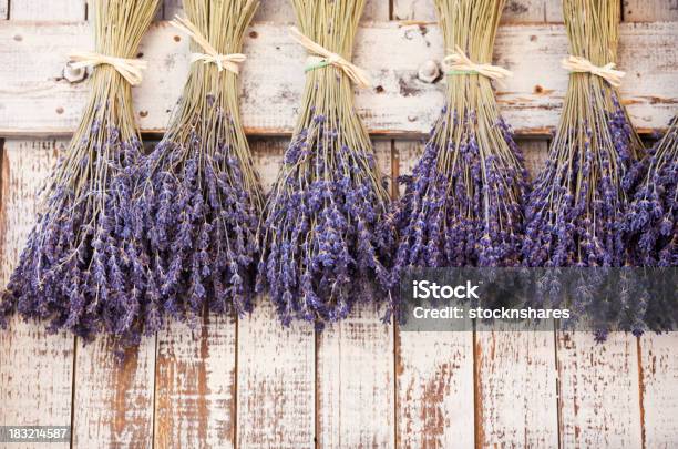 Provence Suszone Z Lawendowym Korkiem - zdjęcia stockowe i więcej obrazów Lawenda - roślina - Lawenda - roślina, Kolor lawendowy, Prowansja-Alpy-Lazurowe Wybrzeże