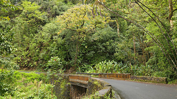 istock The Road to Hana 183215157