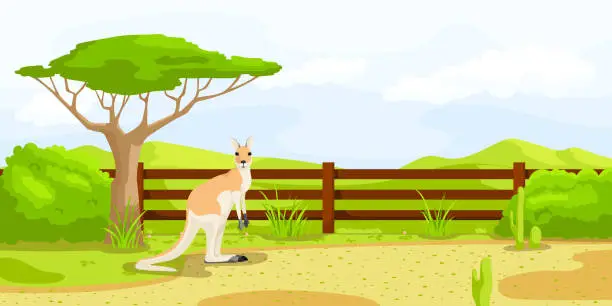 Vector illustration of Australian kangaroo near fence in zoo. Safari vacation. Natural wildlife. Animal with sac, cartoon wallaby. Cute character. Picturesque landscape. Wild savanna. Vector illustration