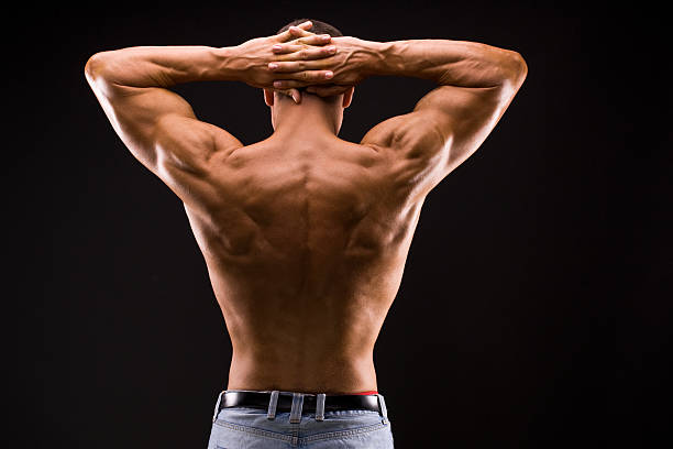 istock Muscular nude male back 183215374
