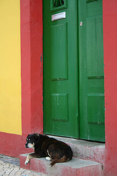 グリーンのドア - ミュージシャン ボブ・マーリー 写真 ストックフォトと画像