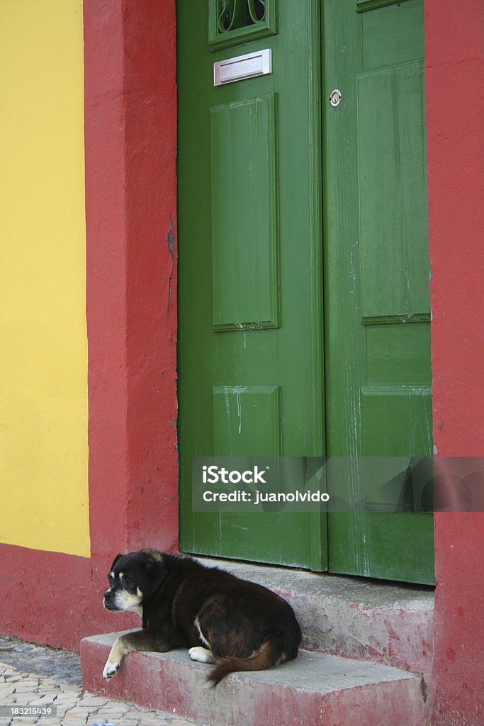 Green Door Dog lying outside a green door. Jamaica Stock Photo