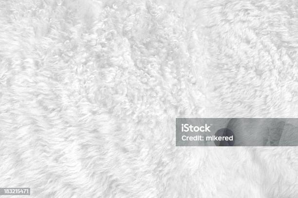Soft White Fur Foto de stock y más banco de imágenes de Con textura - Con textura, Pelo de animal, Suave y sedoso