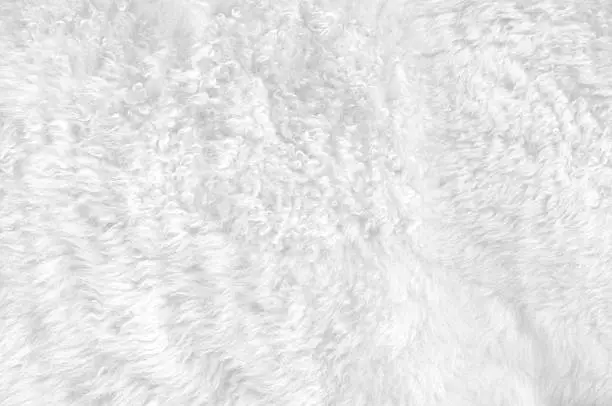 Soft white fur for backgrounds or textures.