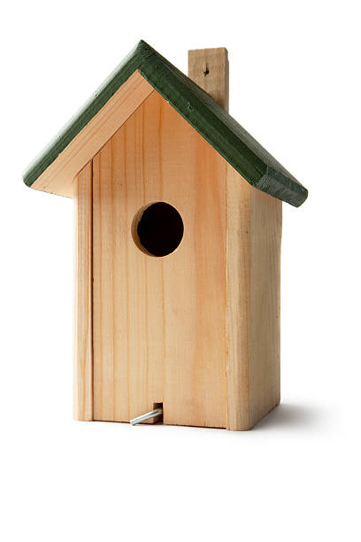 ogrodnictwo: ptak house - birdhouse birds nest box isolated zdjęcia i obrazy z banku zdjęć