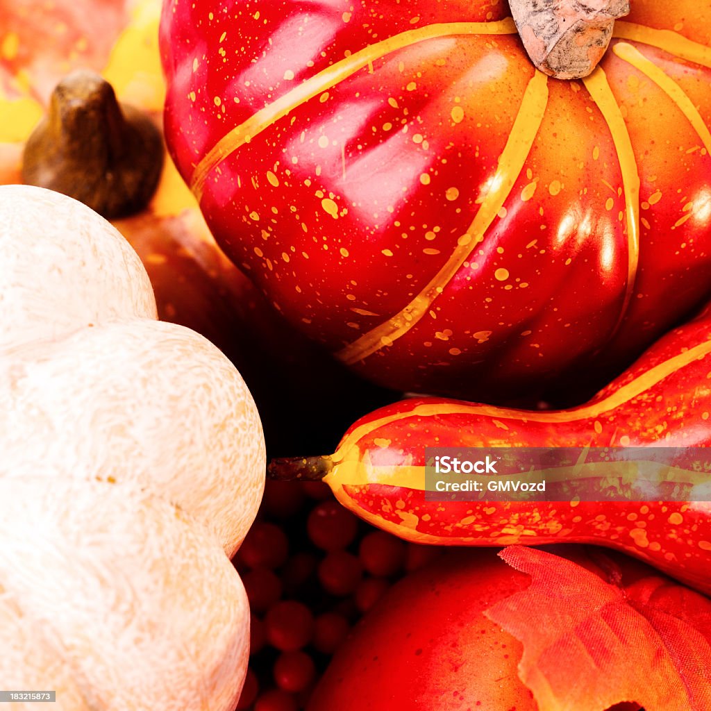 Herbst Dekoration - Lizenzfrei Ahornblatt Stock-Foto