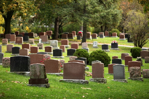 Cementerio Autumnal photo