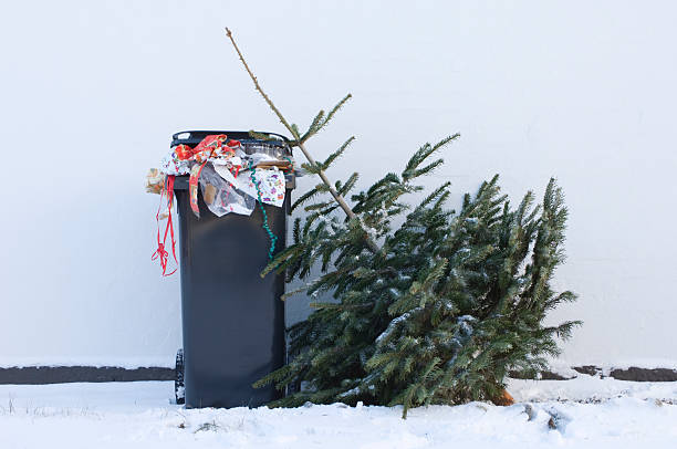 廃棄されるクリスマスツリーウェイティング収集する - garbage can garbage overflowing full ストックフォトと画像