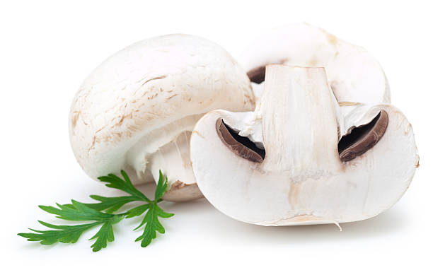 hongos blanco - edible mushroom white mushroom isolated white fotografías e imágenes de stock