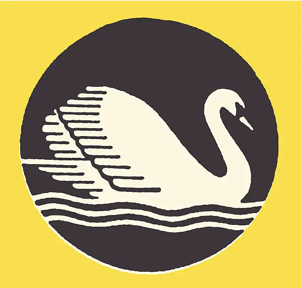 Vector illustration of Swimming Swan