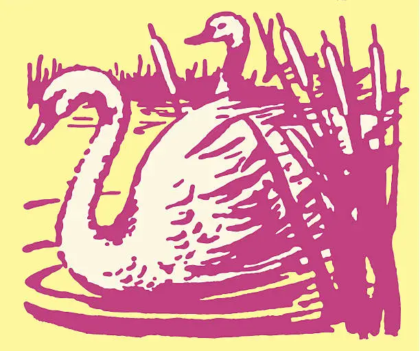 Vector illustration of Swimming Swans