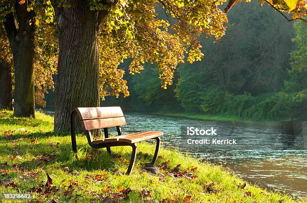 Bank Im Herbst Auf Einem Fluss Mit Den Kastanienbäumen Stockfoto und mehr Bilder von Baum