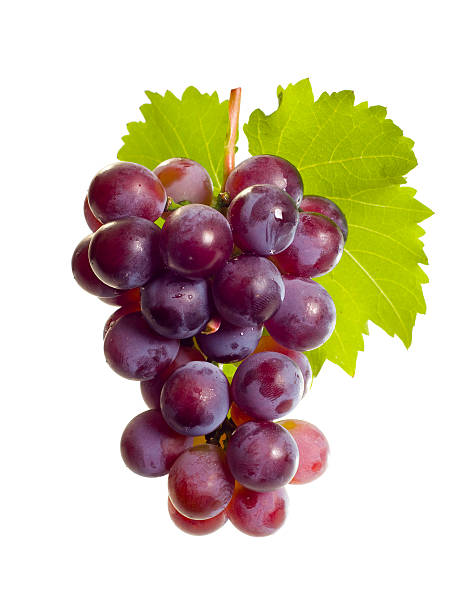 Grape with leaf