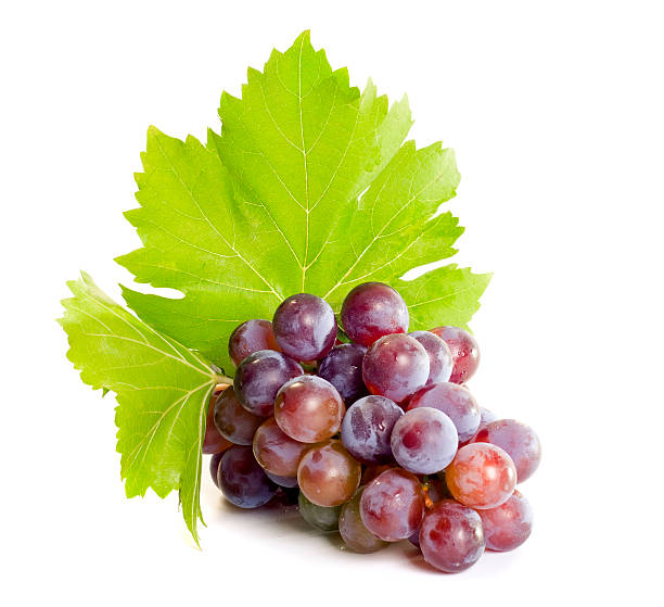 istock Bushel of ripe red grapes with leaves 183216697