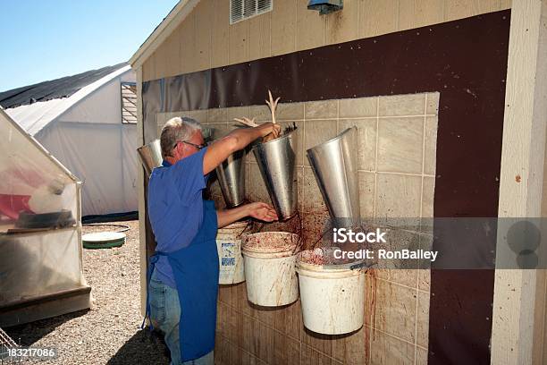 Frango Ao Abate - Fotografias de stock e mais imagens de Galinha - Ave doméstica - Galinha - Ave doméstica, Sangue, Agricultura