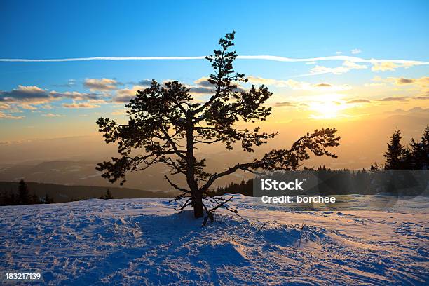 Foto de Pôrdosol Do Inverno e mais fotos de stock de Azul - Azul, Beleza natural - Natureza, Bosque - Floresta