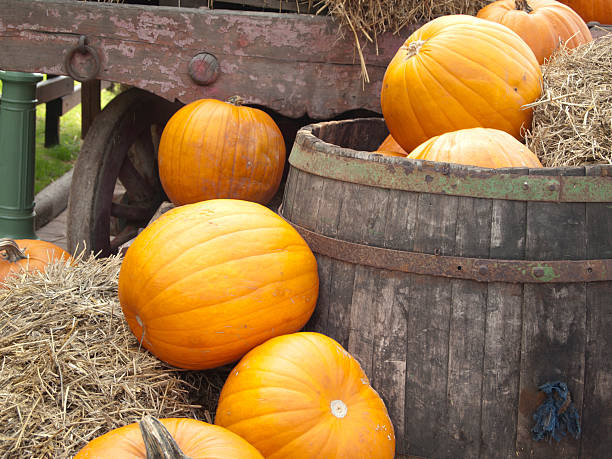 istock barrel full of pumpkins 183217230